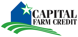 Logo 8